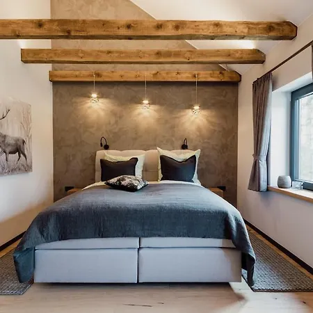 Asten-chalets * Винтерберг