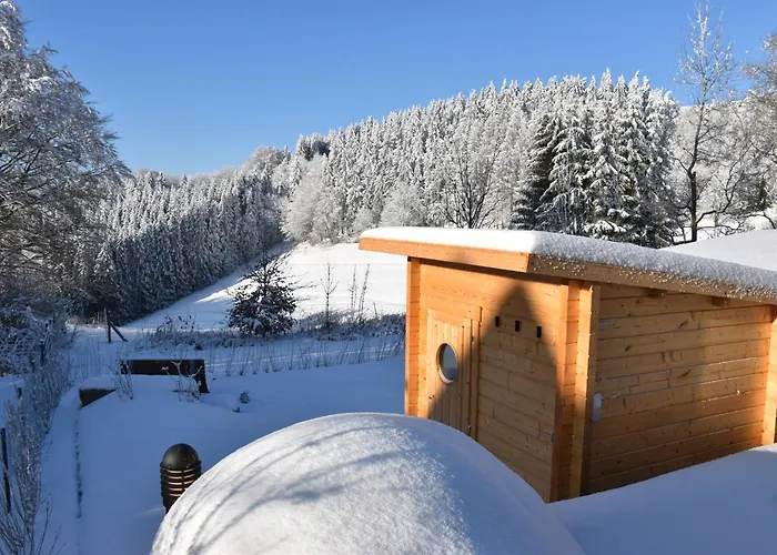 Chalet Asten-chalets Winterberg